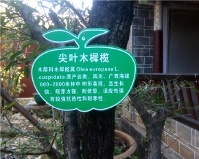 正安树木标牌